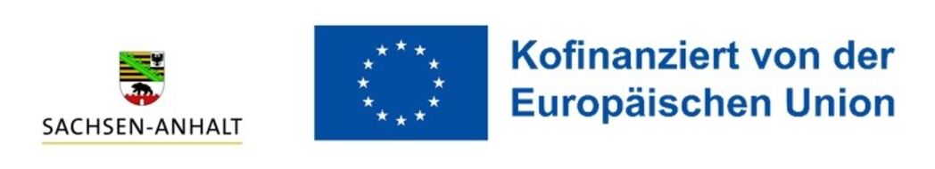 logo sa eu kofinanziert